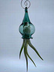 Handblown Glass Air Plant Holder - Jellyfish Design - Art Glass Haven