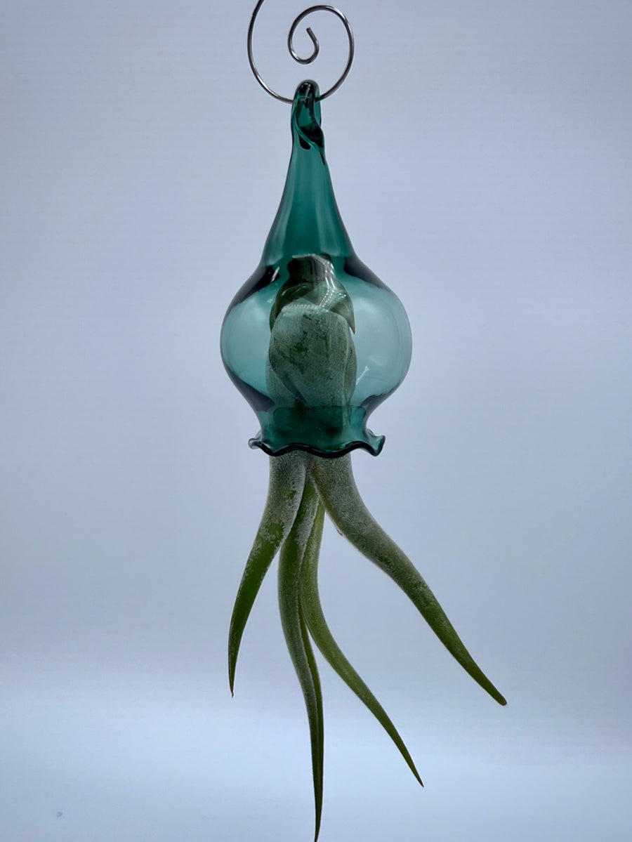 Handblown Glass Air Plant Holder - Jellyfish Design