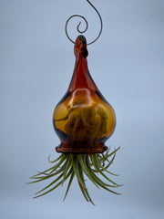 Handblown Glass Air Plant Holder - Jellyfish Design