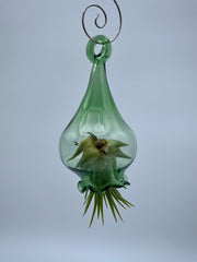 Handblown Glass Air Plant Holder - Jellyfish Design - Art Glass Haven